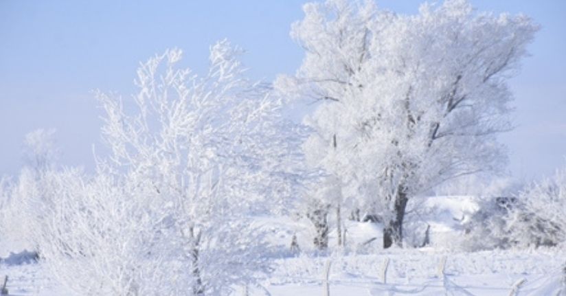 Sivas buz kesti; 227 yerleşim yeri yolu kapalı