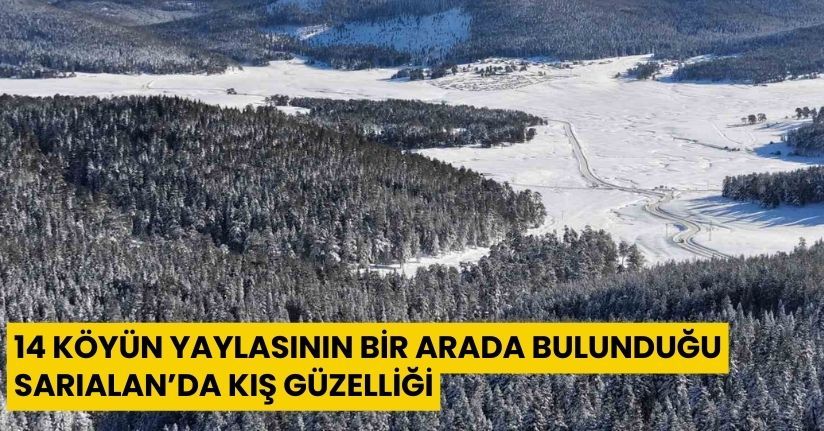 14 köyün yaylasının bir arada bulunduğu Sarıalan’da kış güzelliği