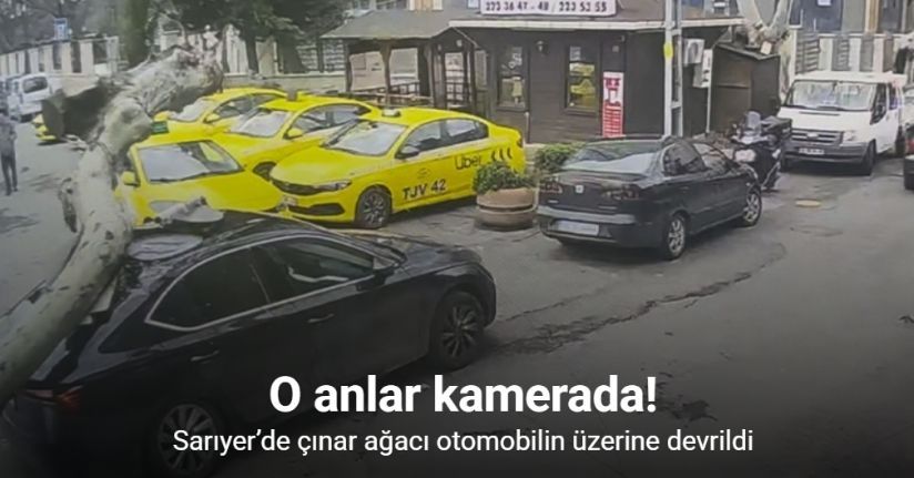 Sarıyer’de çınar ağacı otomobilin üzerine devrildi: O anlar kamerada