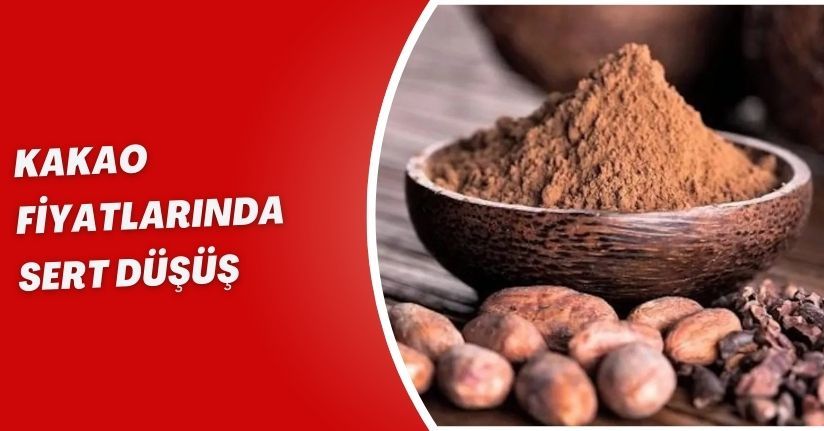 Kakao Fiyatlarında Sert Düşüş