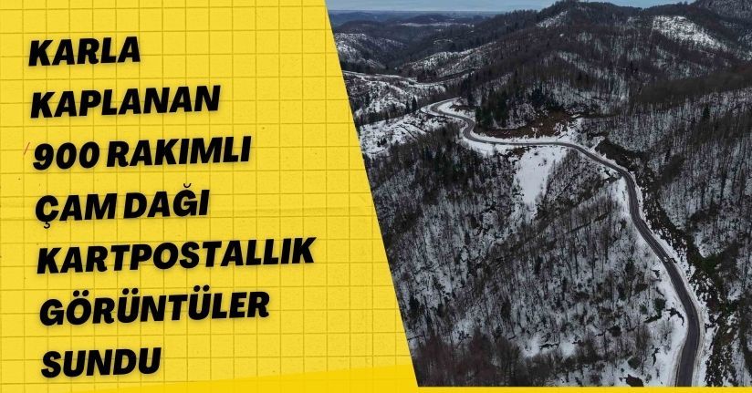 Karla Kaplanan 900 Rakımlı Çam Dağı, Kartpostallık Görüntüler Sundu