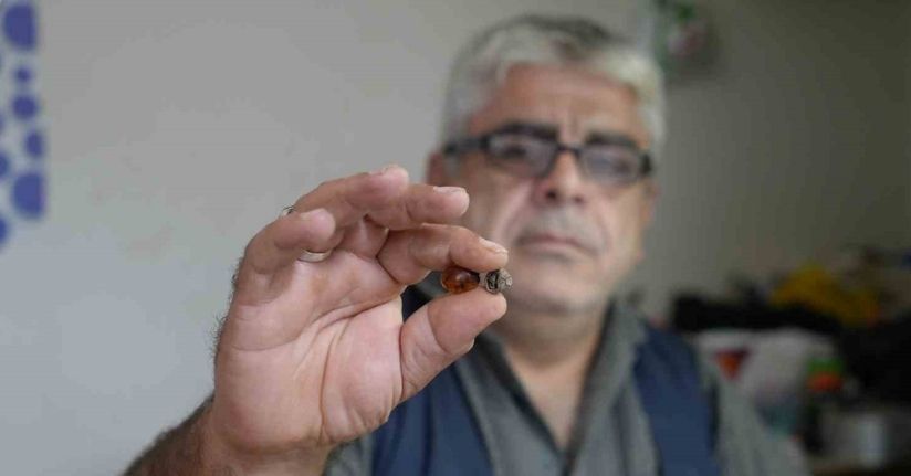 Bayburtlu kehribar ustası işlediği taşta milyonlarca yıllık böcek fosili buldu