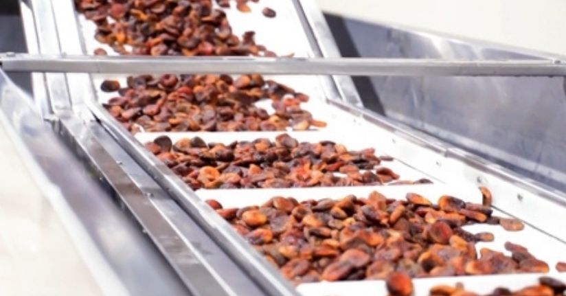 Kuru kayısı ihracatından 303 milyon 584 bin dolar gelir