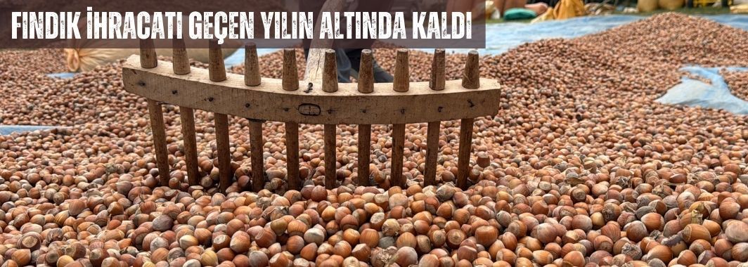 Fındık İhracatı Geçen Yılın Altında Kaldı