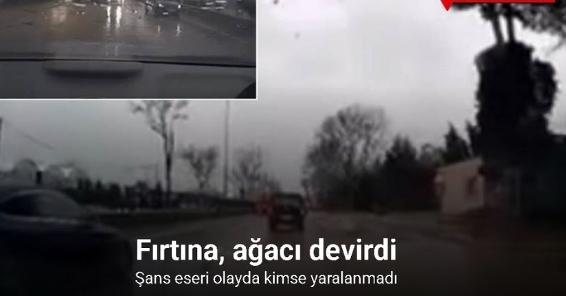 Fırtınanın ağacı devirme anı kamerada