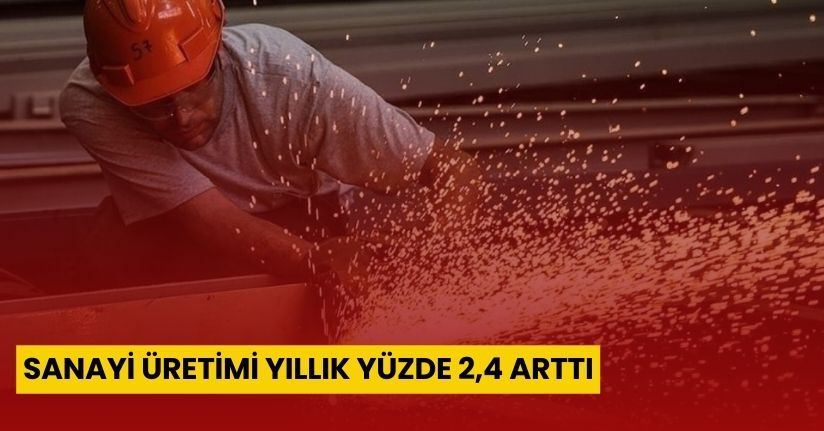 Sanayi üretimi yıllık yüzde 2,4 arttı