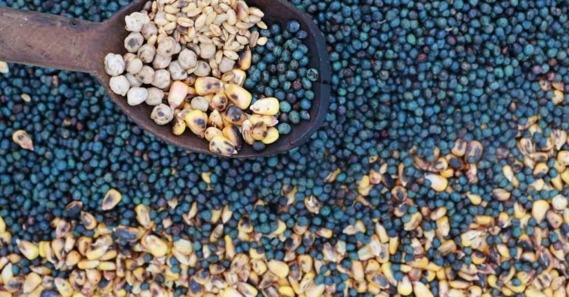 Asırlardır yaşatılan lezzet: Kavut unu sofralardan kültüre uzanan bir miras