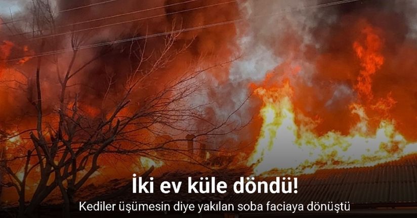 Kediler üşümesin diye yakılan soba faciaya dönüştü: İki ev küle döndü