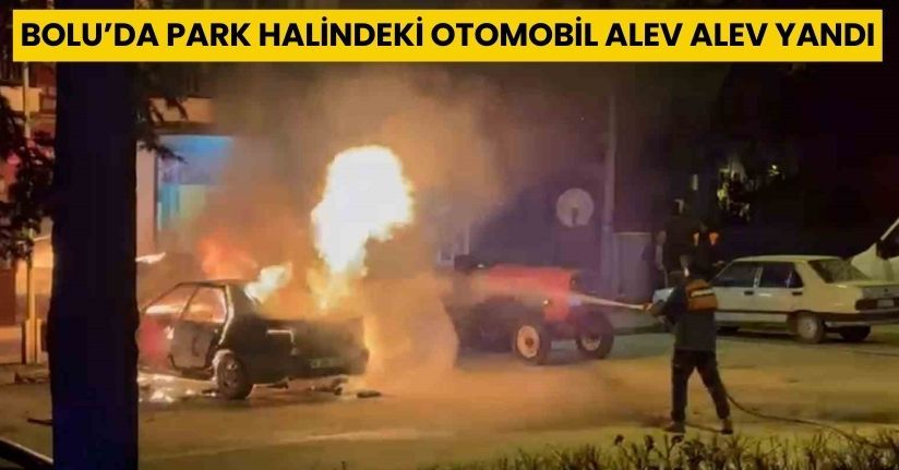 Bolu’da park halindeki otomobil alev alev yandı
