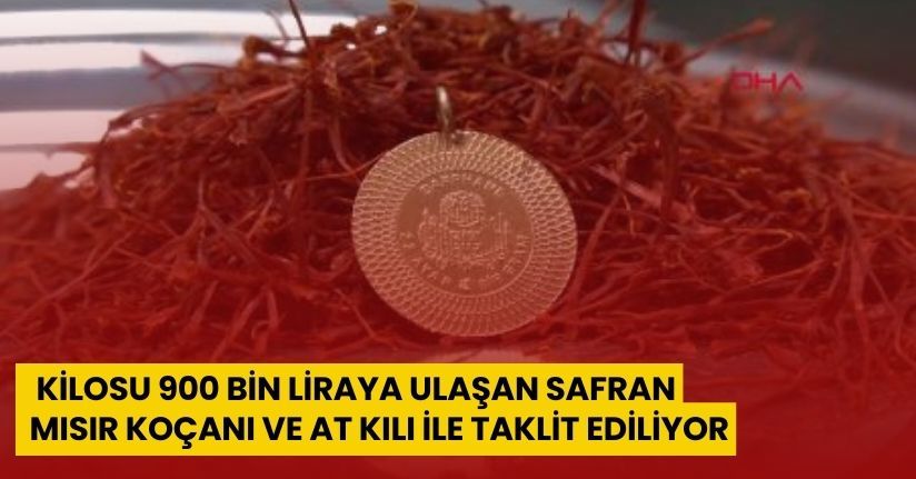  Kilosu 900 bin liraya ulaşan safran, mısır koçanı ve at kılı ile taklit ediliyor