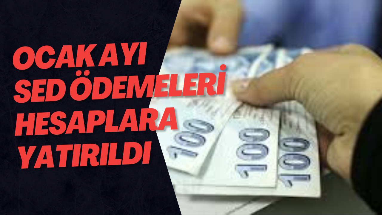Ocak Ayı SED Ödemeleri Hesaplara Yatırıldı