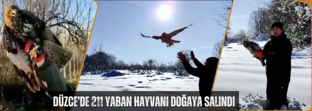 211 Yaban Hayvanı Doğaya Salındı