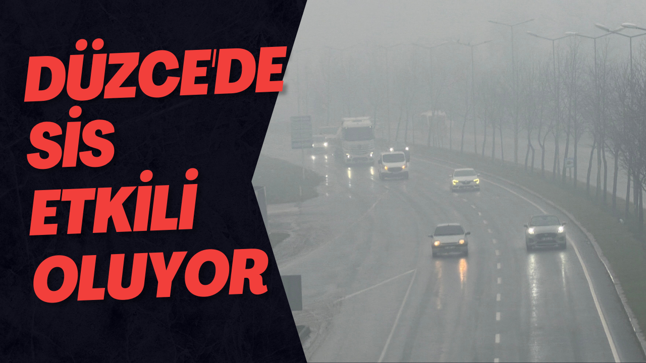 Düzce'de Sis Etkili Oluyor