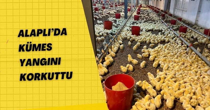 Alaplı’da kümes yangını korkuttu