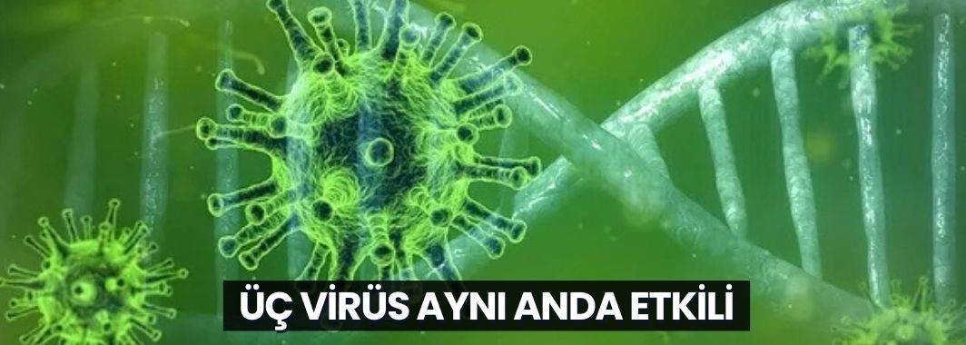 Üç Virüs Aynı Anda Etkili