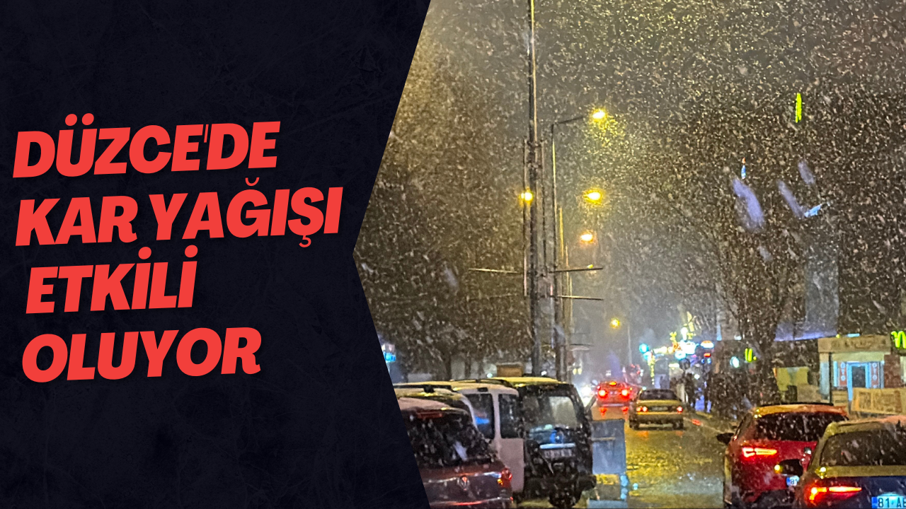 Düzce'de Kar Yağışı Etkili Oluyor