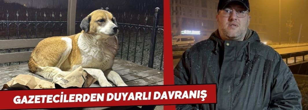 Gazetecilerden Duyarlı Davranış