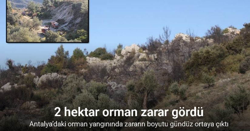 Antalya’daki orman yangınında zararın boyutu gündüz ortaya çıktı: 2 hektar zarar gördü