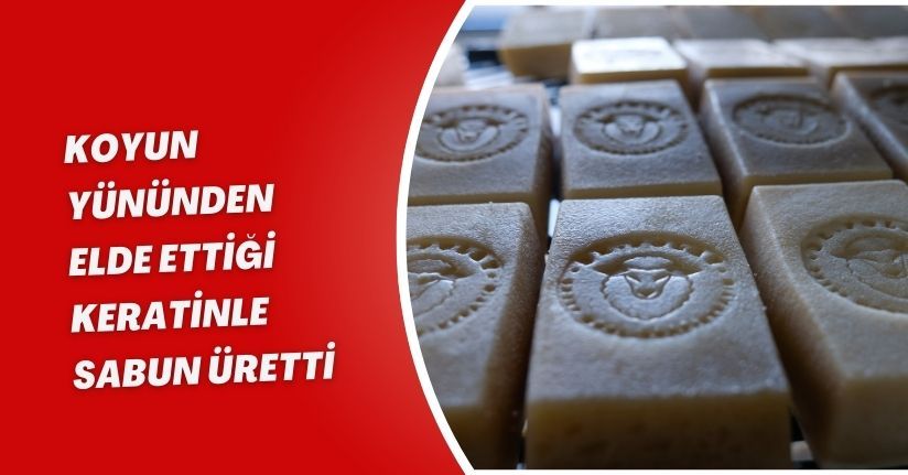 Koyun yününden elde ettiği keratinle sabun üretti