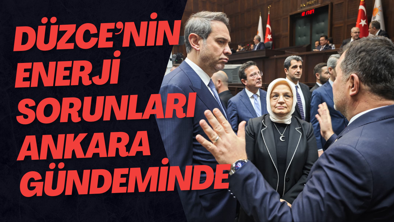 Düzce’nin Enerji Sorunları Ankara Gündeminde