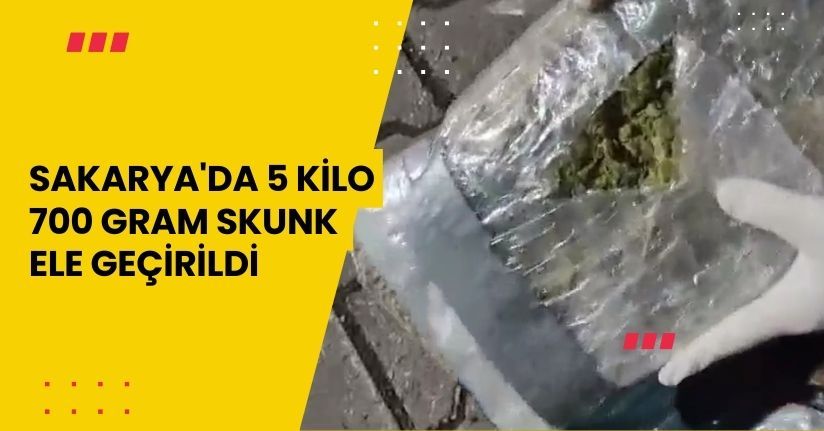 Sakarya'da 5 kilo 700 gram skunk ele geçirildi