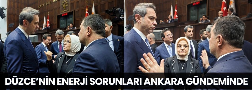 Düzce’nin Enerji Sorunları Ankara Gündeminde