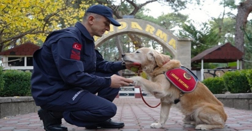 JAK köpeği 'Ocak', 8 yılda 48 can kurtardı