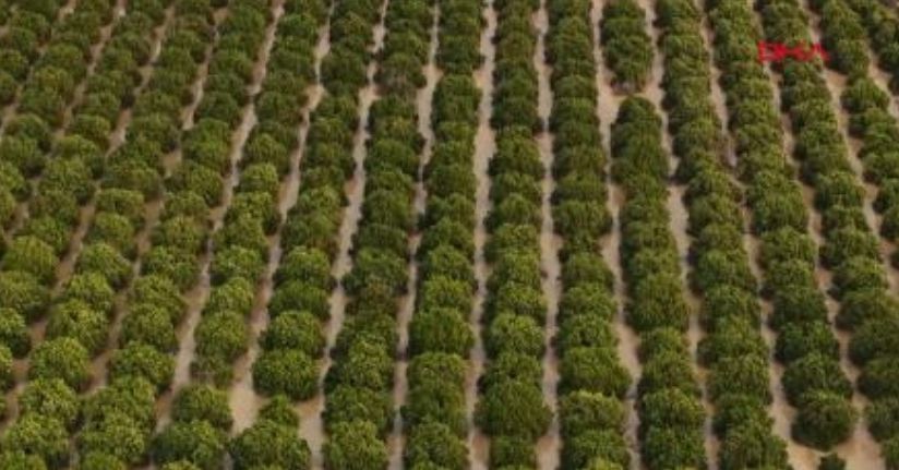 Antalya'da tarım alanları su altında kaldı 