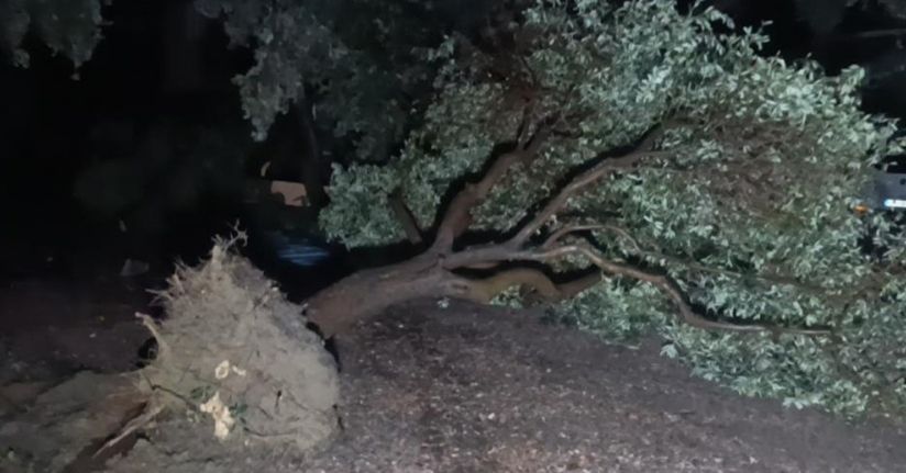 Hortum Manavgat’ı savaş alanına çevirdi