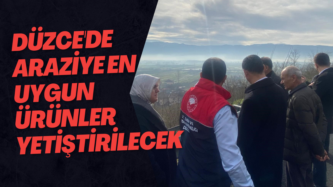 Düzce'de Araziye En Uygun Ürünler Yetiştirilecek