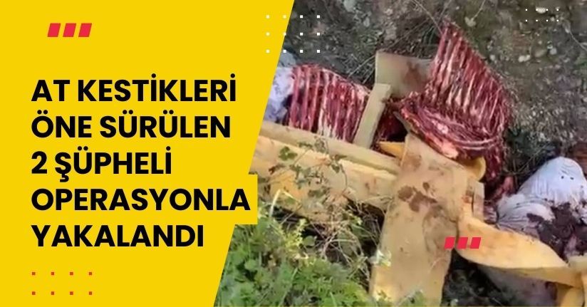 At kestikleri öne sürülen 2 şüpheli, operasyonla yakalandı