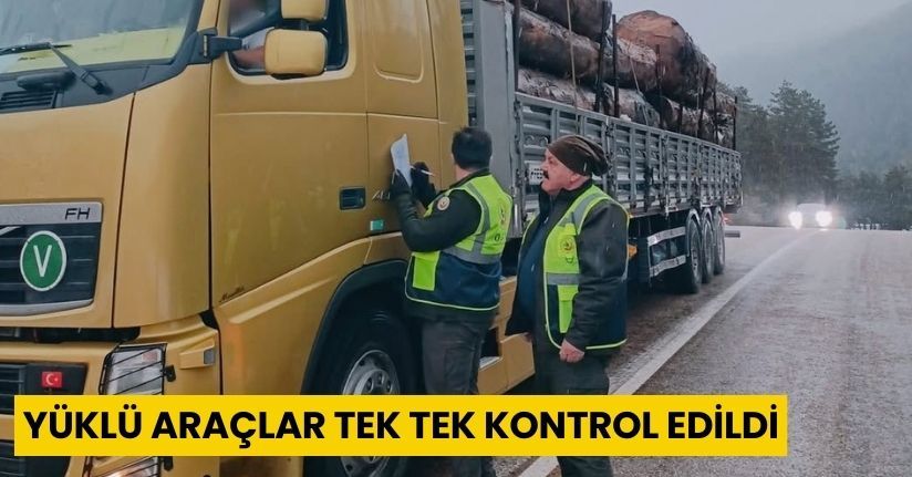 Yüklü araçlar tek tek kontrol edildi