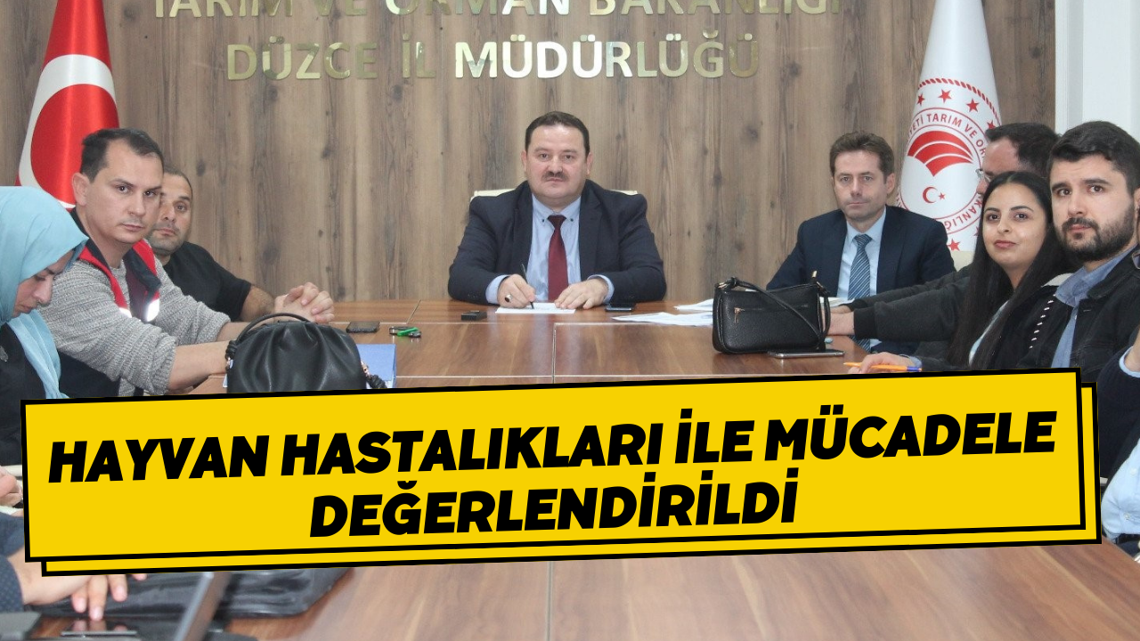 Hayvan Hastalıkları İle Mücadele Değerlendirildi