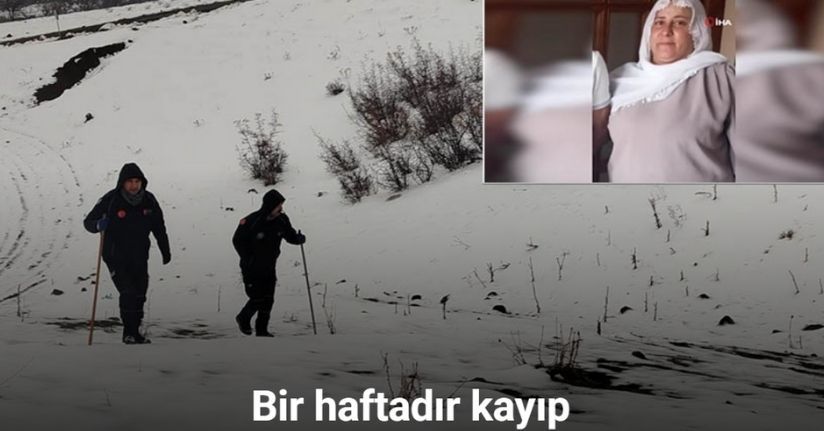 Diyarbakır’da kayıp kadın 480 kişilik ekiple aranıyor