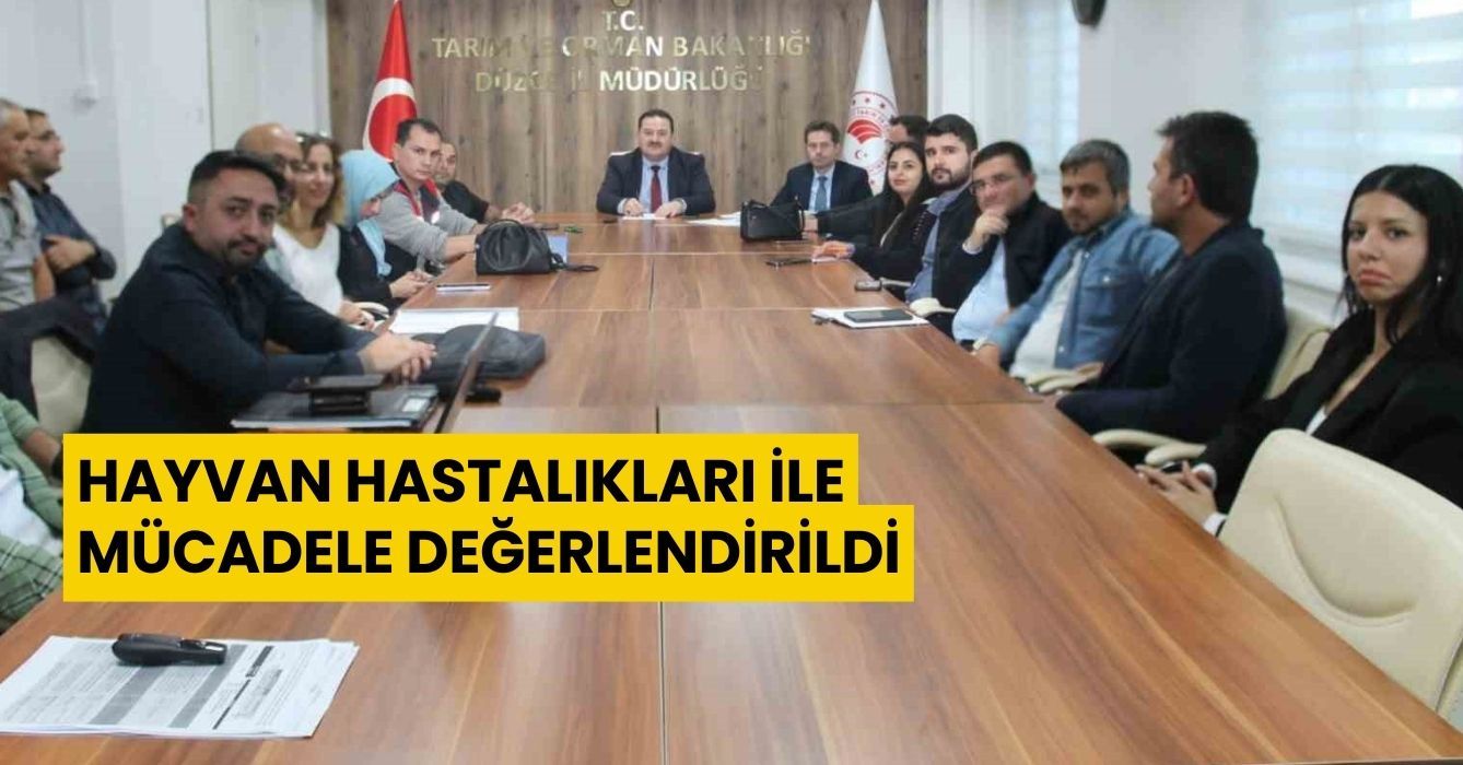 Hayvan hastalıkları ile mücadele değerlendirildi