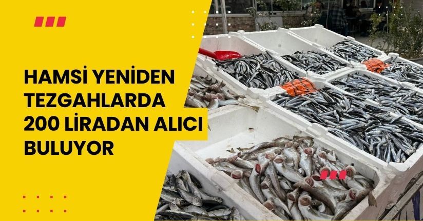 Hamsi yeniden tezgahlarda, 200 liradan alıcı buluyor
