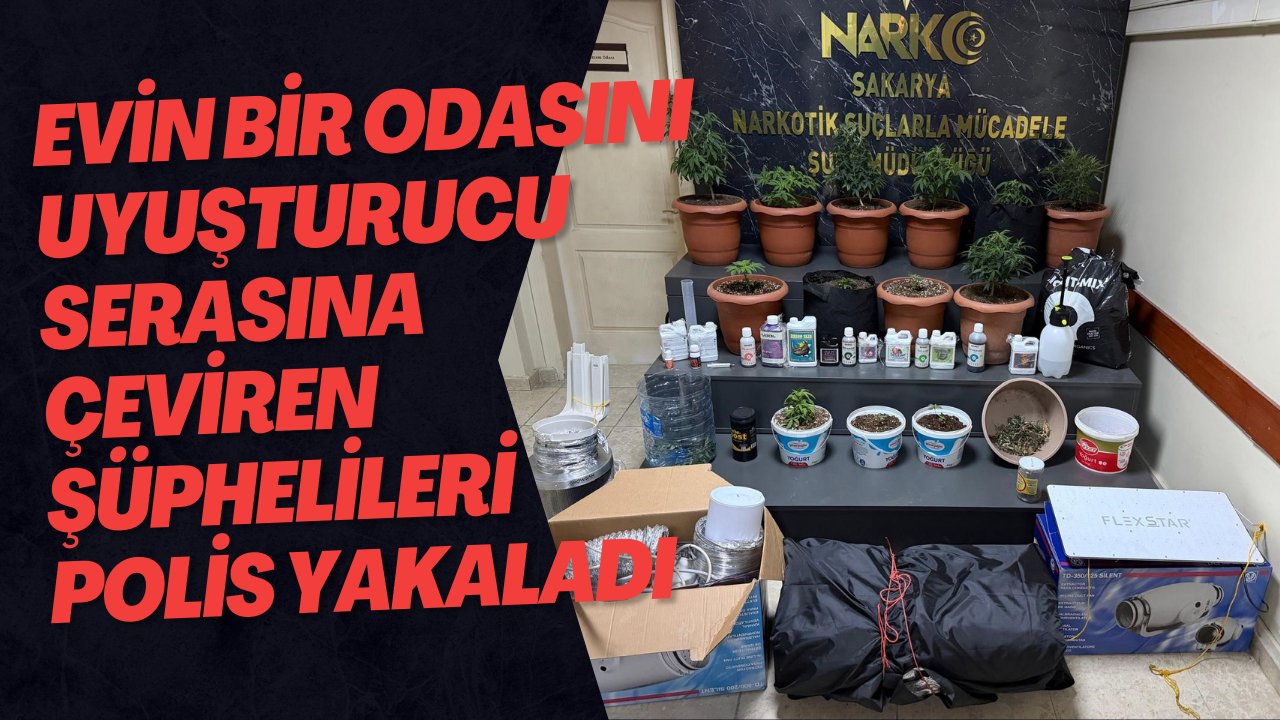Evin Bir Odasını Uyuşturucu Serasına Çeviren Şüphelileri Polis Yakaladı