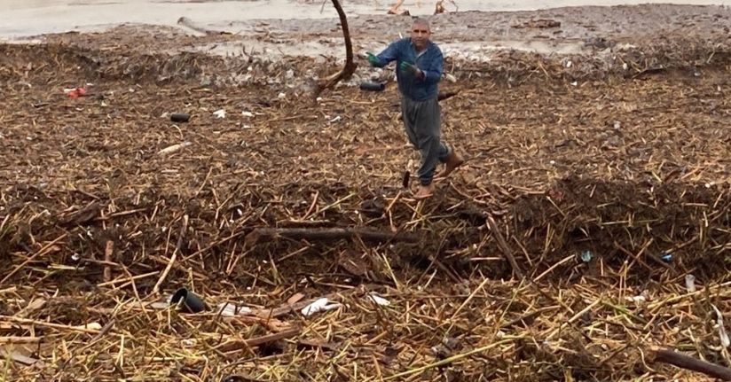 Sel sonrası deniz kahverengi oldu, sahiller odun doldu