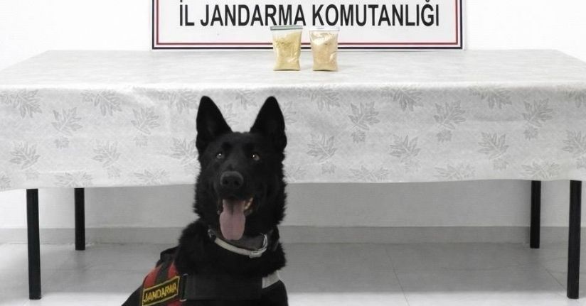 İranlı şahıs üzerinde 510 gram eroin ele geçirildi.