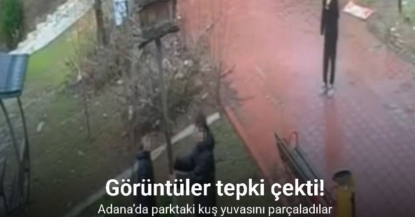 Adana’da parktaki kuş yuvasını parçaladılar