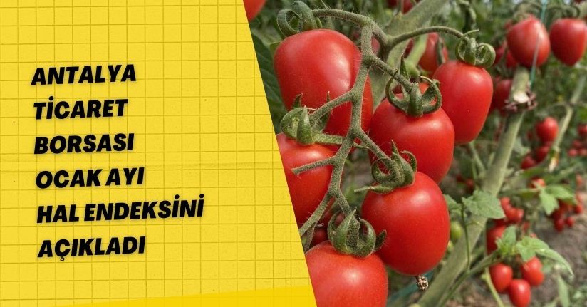 Antalya Ticaret Borsası, Ocak ayı hal endeksini açıkladı
