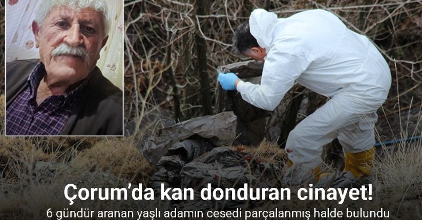Çorum’da kan donduran cinayet: 6 gündür aranan yaşlı adamın cesedi parçalanmış halde bulundu