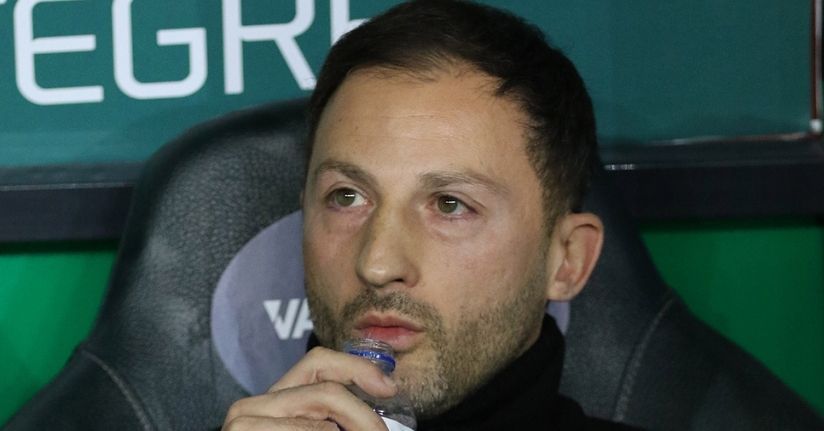 Domenico Tedesco: