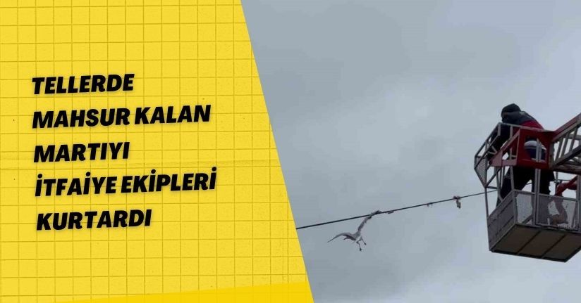 Tellerde mahsur kalan martıyı itfaiye ekipleri kurtardı