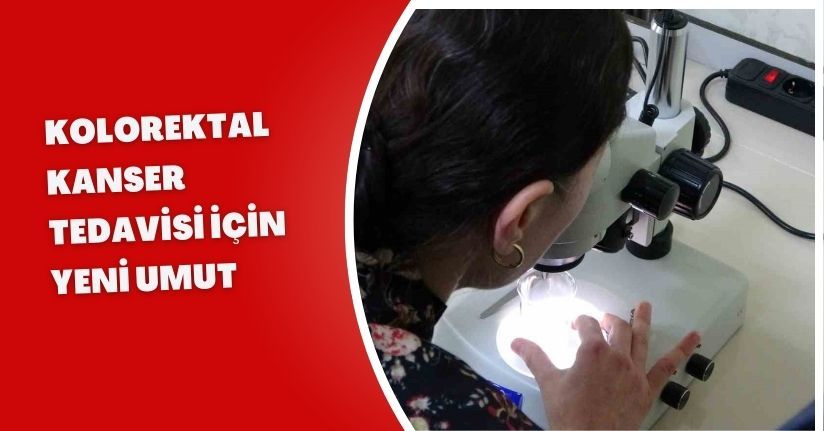 Kolorektal kanser tedavisi için yeni umut