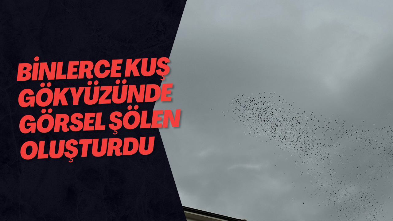 Binlerce Kuş Gökyüzünde Görsel Şölen Oluşturdu