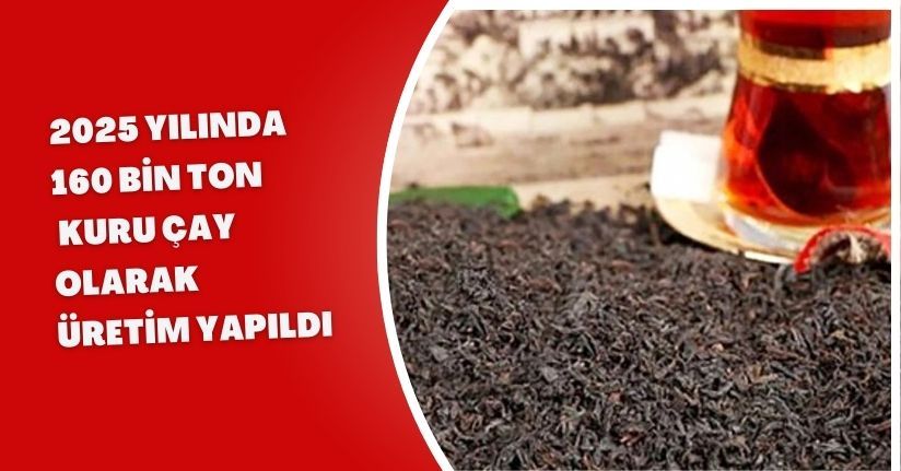 2025 yılında 160 bin ton kuru çay olarak üretim yapıldı