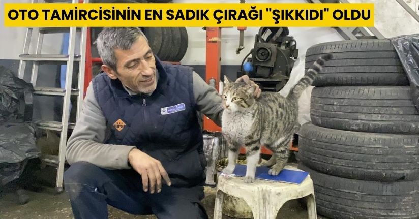 Oto tamircisinin en sadık çırağı 
