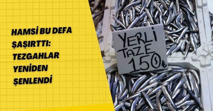 Hamsi bu defa şaşırttı: Tezgahlar yeniden şenlendi