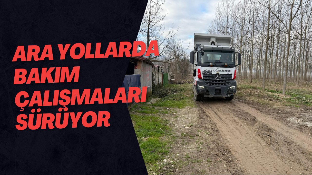 Ara Yollarda Bakım Çalışmaları Sürüyor